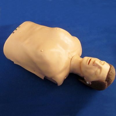 Formation à la RCR électronique sur le buste Manivelle démonstration de soins aux patients avec PVC avancé
