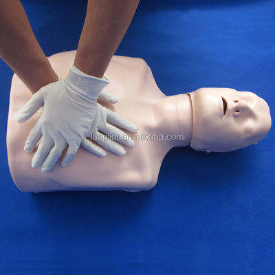 Le mannequin de réanimation du corps parfait pour vos compétences d'urgence