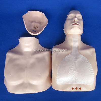 Le mannequin de réanimation du corps parfait pour vos compétences d'urgence