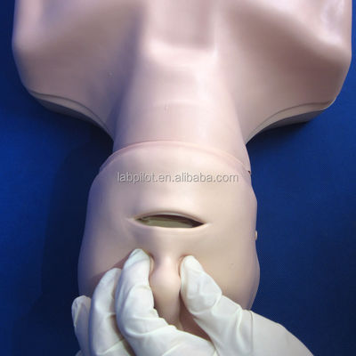 Le mannequin de réanimation du corps parfait pour vos compétences d'urgence