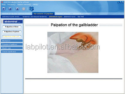Réseau d'enseignement et logiciel Modèle de formation médicale pour la mesure de la pression artérielle