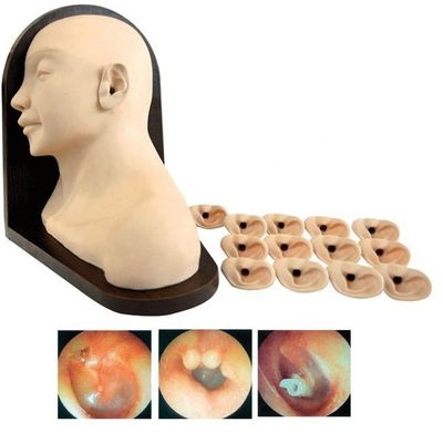 Science médicale Modèle de formation au diagnostic de l'oreille pour l'éducation aux compétences en soins infirmiers cliniques