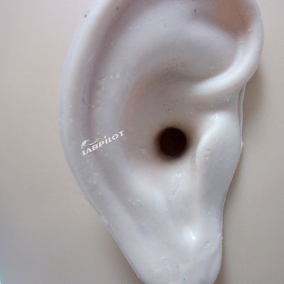 Modèle d'oreille vivante de taille humaine L'outil ultime pour le simulateur de formation d'irrigation de l'oreille