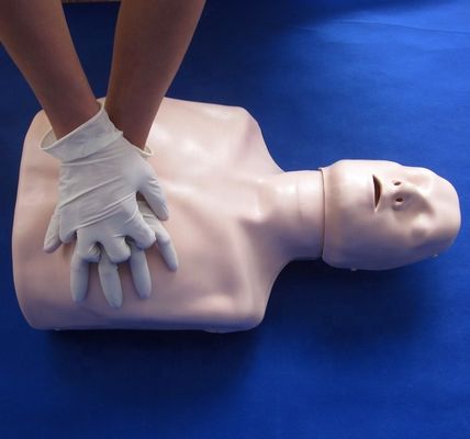 Modèle de formation à la RCR pour les établissements de formation scolaire