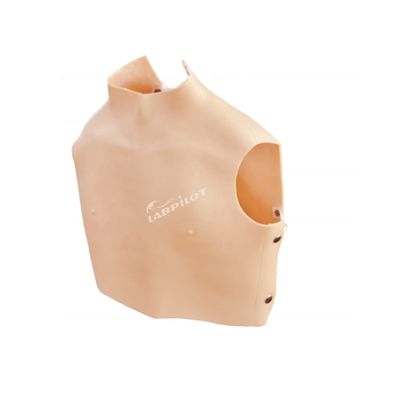 Démonstration de soins aux patients Simulateur d' auscultation cardiopulmonaire avec PVC avancé