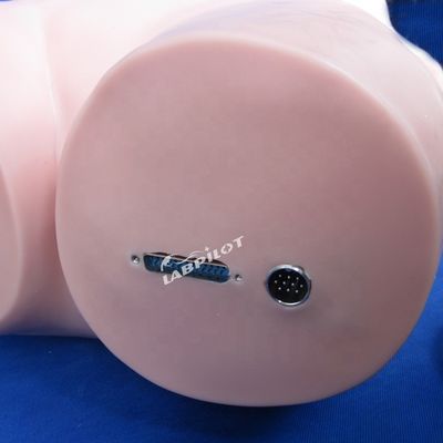 Simulateur de palpation abdominale pour l'enseignement des soins infirmiers et la simulation humaine réaliste