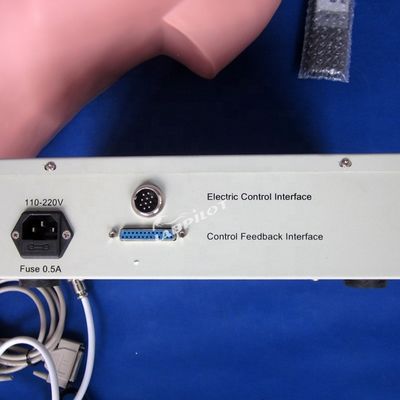 Simulateur de palpation abdominale pour l'enseignement des soins infirmiers et la simulation humaine réaliste