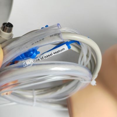 Simulateur d'hémorragie nasale de tête et de cou pour démonstration de soins aux patients