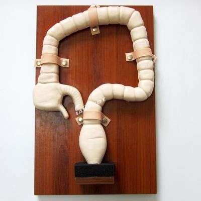 Modèle d'anatomie du rectum et du côlon Simulateur d'endoscopie intestinale en PVC avancé