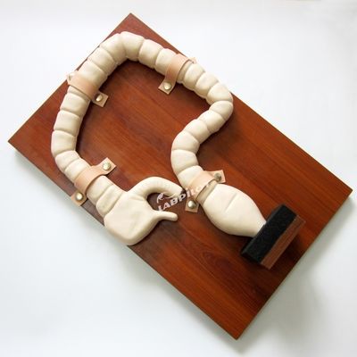 Formation au sigmoïdoscope humain avec le modèle d'intestin gros et le simulateur de taille réelle