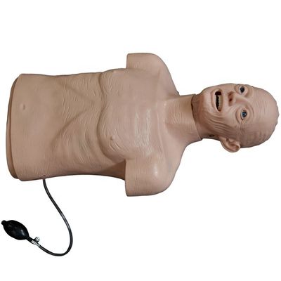 Le mannequin en PVC avancé est le meilleur choix pour la réanimation et l'intubation des personnes âgées