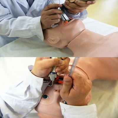 Le mannequin en PVC avancé est le meilleur choix pour la réanimation et l'intubation des personnes âgées