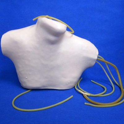 Simulateur de formation CVC en PVC avancé pour l'enseignement de la vénénecture centrale et de l'intubation