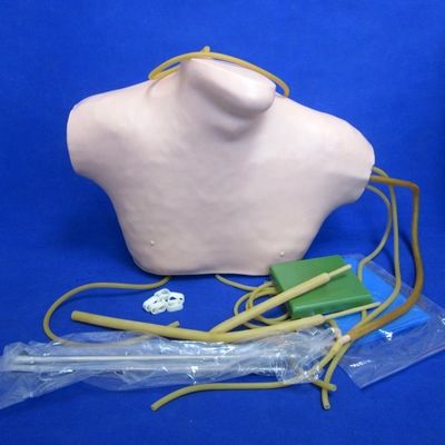 Simulateur de formation CVC en PVC avancé pour l'enseignement de la vénénecture centrale et de l'intubation