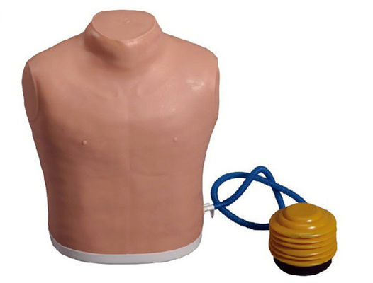 Science médicale Manikine de tube thoracique pour la décompression du pneumothorax