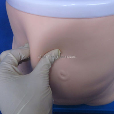 Modèle d'enseignement de la dialyse péritonéale Outil de formation et de performance en soins infirmiers cliniques