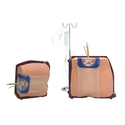 Simulateur de formation à la ponction vertébrale pour professionnels de la santé