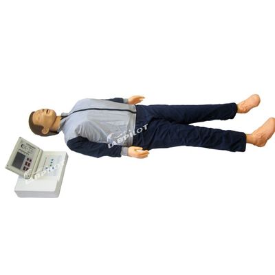Modèle d'enseignement de la réanimation à grand écran LCD de mannequin humain réaliste pour la formation en RCR chez l'adulte