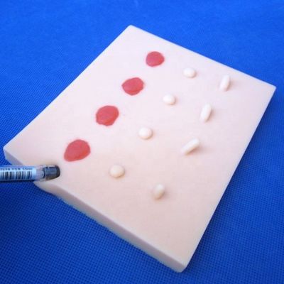 Modèle des lésions de la maladie de la peau pathologique vive pour l'enseignement médical
