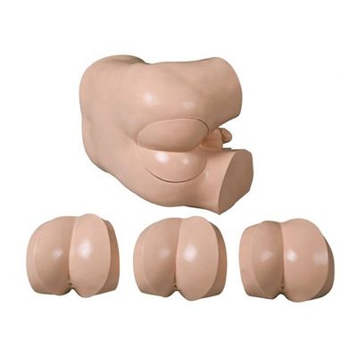 Modèle de compétences cliniques pour l'examen du toucher rectal