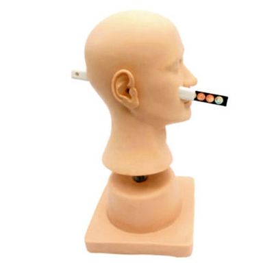 Simulateur de diagnostic de l'oreille en plastique en PVC avancé pour démonstration en otolaryngologie