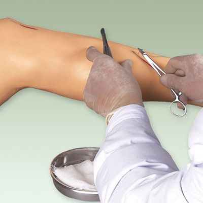 Modèle de formation en chirurgie médicale Modèle de jambe vive pour la démonstration d'instruments chirurgicaux