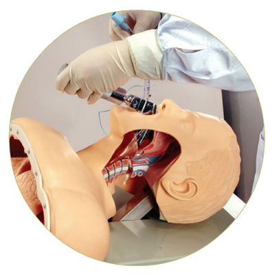 Avertissement électronique Formateur en intubation orale et nasale pour la formation aux compétences d'urgence