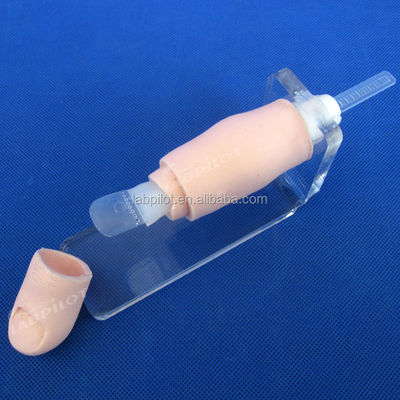 L'entraîneur d'ongles incarnés Le modèle ultime pour l'entraînement et la pratique de l'extraction des ongles