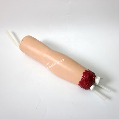 Science médicale Simulateur de soins de traumatisme Modèle de sang et de bras amputé