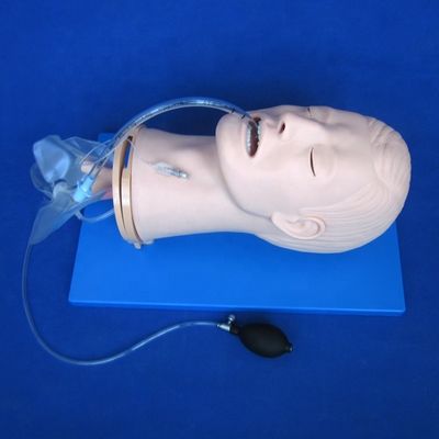 Modèle de formation à l'intubation endotrachéale multifonctionnelle pour la gestion des voies respiratoires