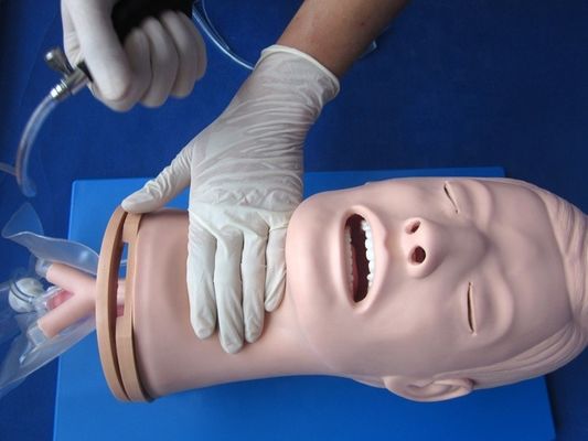 Modèle de formation à l'intubation endotrachéale multifonctionnelle pour la gestion des voies respiratoires