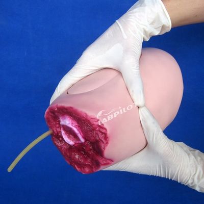 Modèle de PVC avancé La solution idéale pour les infirmières traumatologues