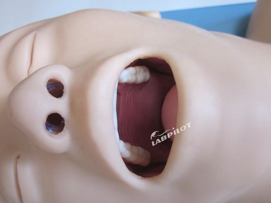Entraînement à l'intubation endotrachéale mannequin Modèle de taille humaine pour airbag de réanimation