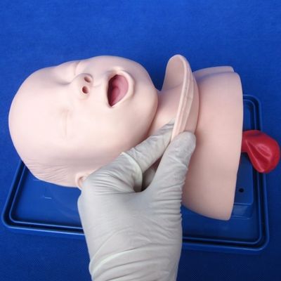 Modèle économique de mannequin pédiatrique pour la tête vivante du nourrisson et formation à l'intubation infantile