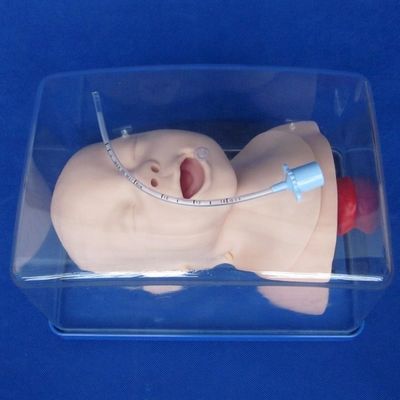 Modèle économique de mannequin pédiatrique pour la tête vivante du nourrisson et formation à l'intubation infantile