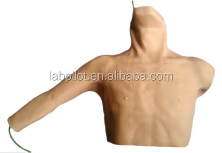 Simulateur PICC avancé et modèle d'enseignement de la ponction veineuse périphérique pour la taille humaine