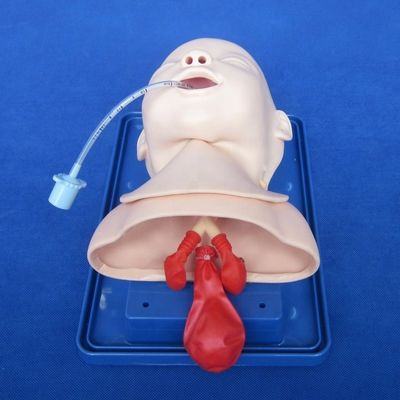 Modèle économique de mannequin pédiatrique pour la tête vivante du nourrisson et formation à l'intubation infantile