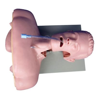 Responsable de la formation à l'intubation électronique pour la gestion avancée des voies respiratoires