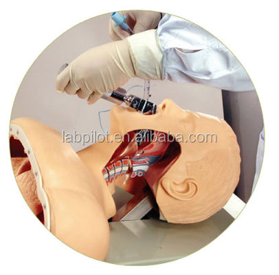 Responsable de la formation à l'intubation électronique pour la gestion avancée des voies respiratoires