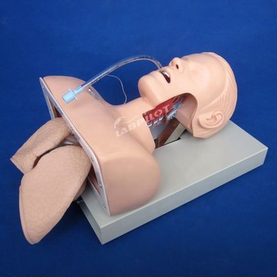 Responsable de la formation à l'intubation électronique pour la gestion avancée des voies respiratoires