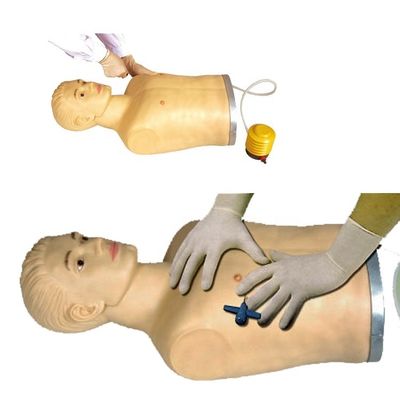 Manikin de ponction thoracique en PVC avancé pour la démonstration et la formation des compétences cliniques