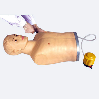 Manikin de ponction thoracique en PVC avancé pour la démonstration et la formation des compétences cliniques