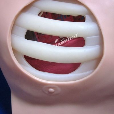 Manikine en PVC avancée pour la formation infirmière du drainage de la ponction pleurale et de la thoracentesis