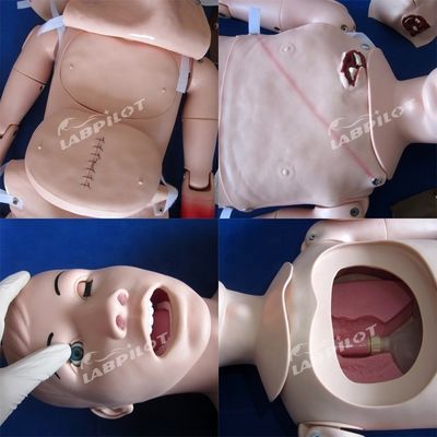 Mannequin infirmier complet pour les soins de traumatismes et la prise en charge des plaies en taille humaine