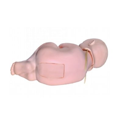 Modélisateur de pratique infirmière de ponction lombaire pédiatrique en PVC pour nourrissons