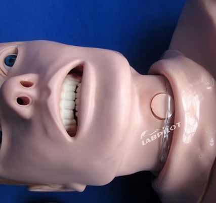 Manikine de taille humaine professionnelle pour la RCR et l'intubation des adultes