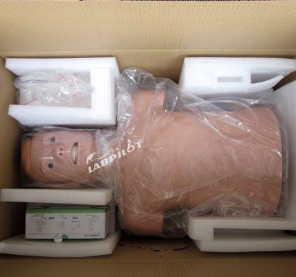 Manikine de taille humaine professionnelle pour la RCR et l'intubation des adultes