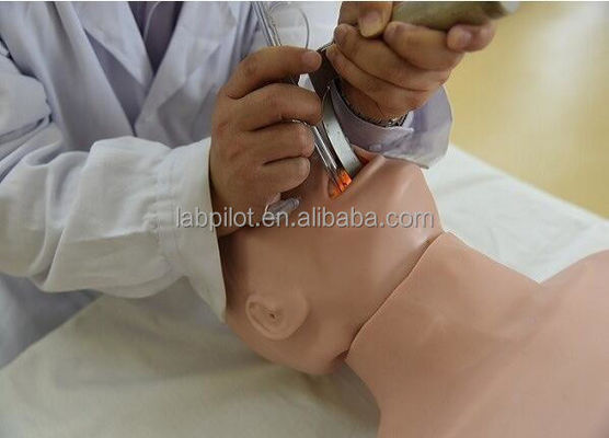 Améliorez vos compétences en urgence grâce au mannequin de RCR et d'intubation trachéale