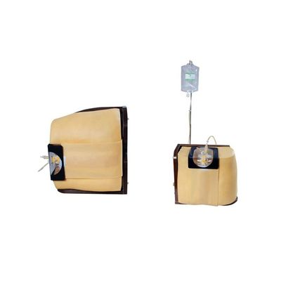 Formation et éducation du corps humain Vivid Modèle de simulation avancée de ponction spinale en PVC