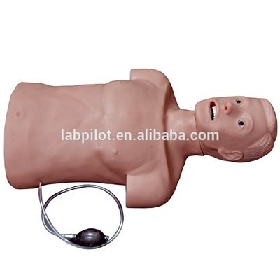 Améliorez vos compétences en urgence grâce au mannequin de RCR et d'intubation trachéale